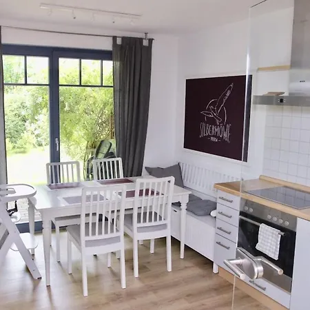 Herring Gull Comfortable Holiday home Prerow