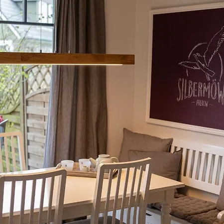 Herring Gull Comfortable *