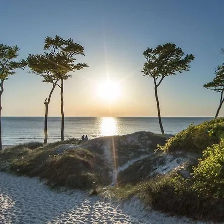Prázdninový dům Herring Gull Comfortable *