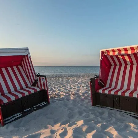 Herring Gull Comfortable Prázdninový dům *