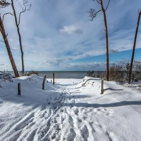 Herring Gull Comfortable Prázdninový dům Prerow