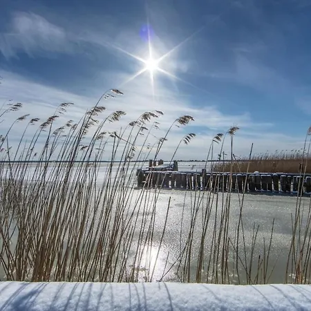 Prázdninový dům Herring Gull Comfortable Prerow